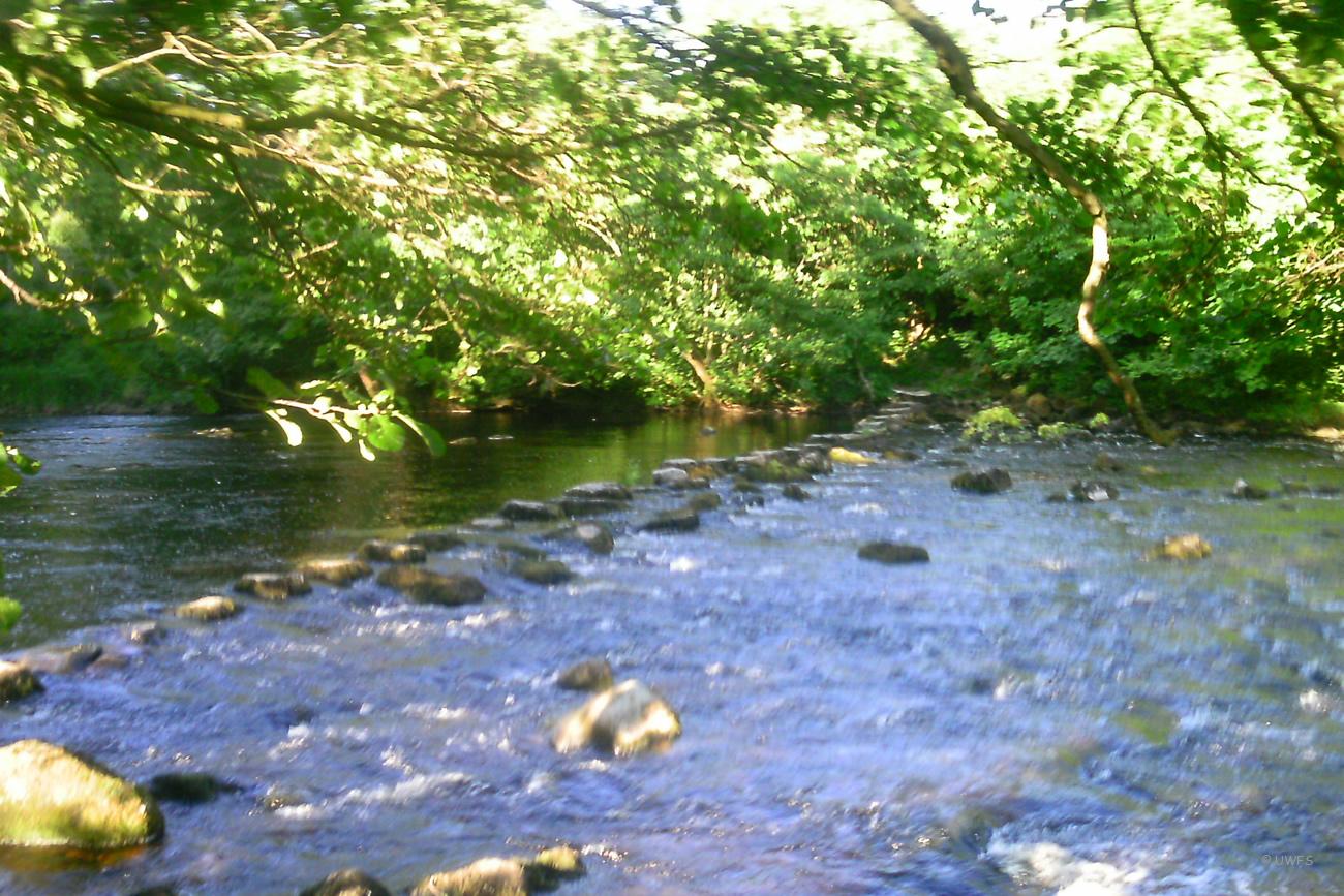 Drebley Stepping Stones