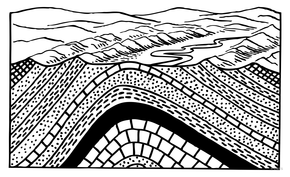 Cross-sectional diagram of an anticline