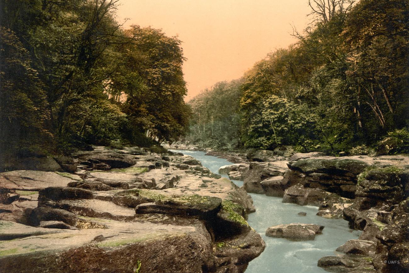 The Strid Bolton Abbey