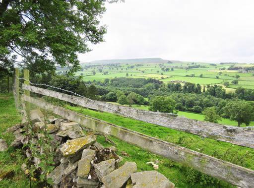 View northest across River Cover from Caldbergh