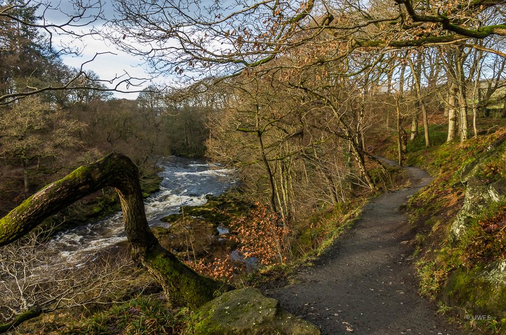 Footpath above The Strid