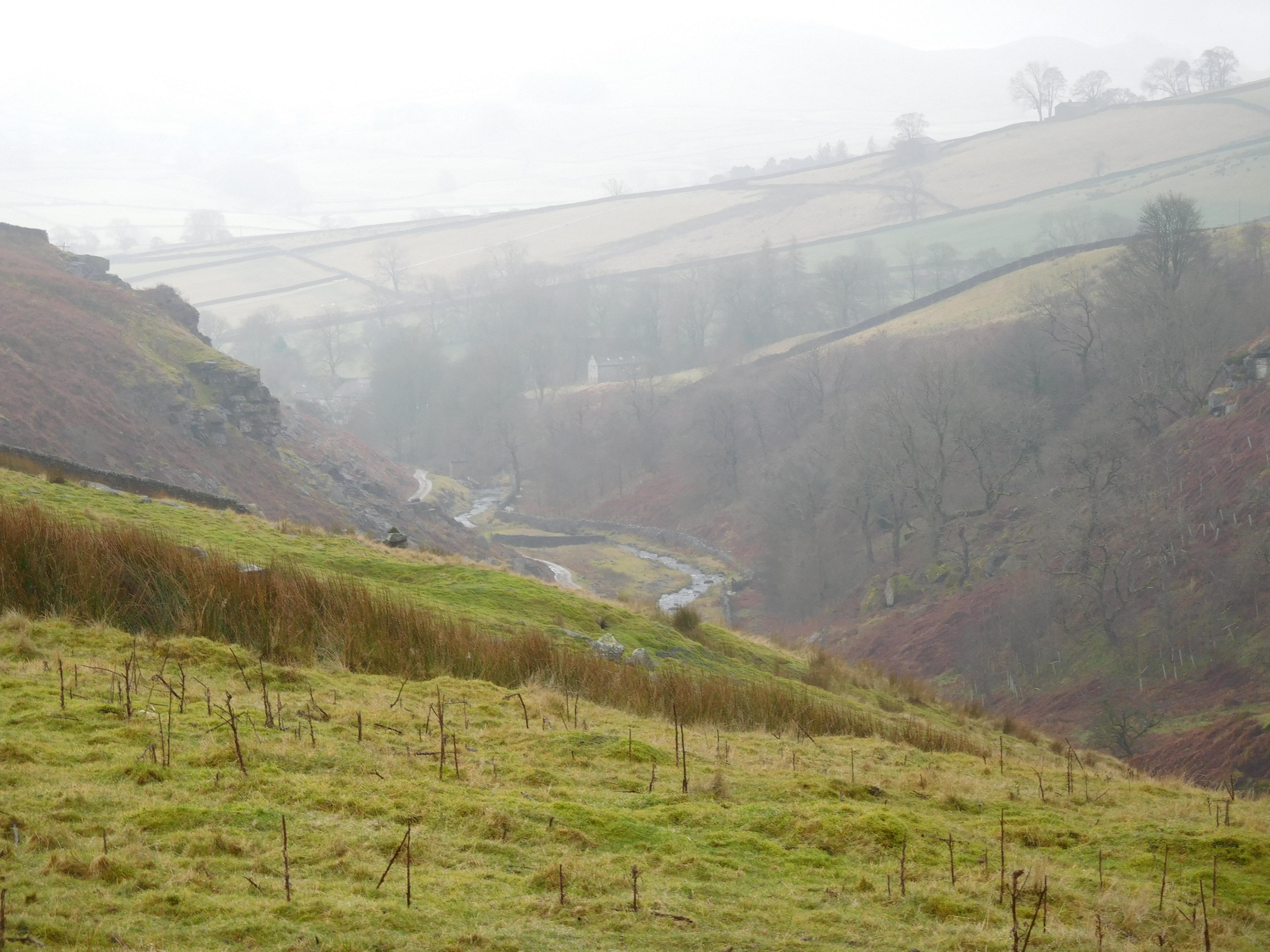 West of Mossy Moor © UWFS