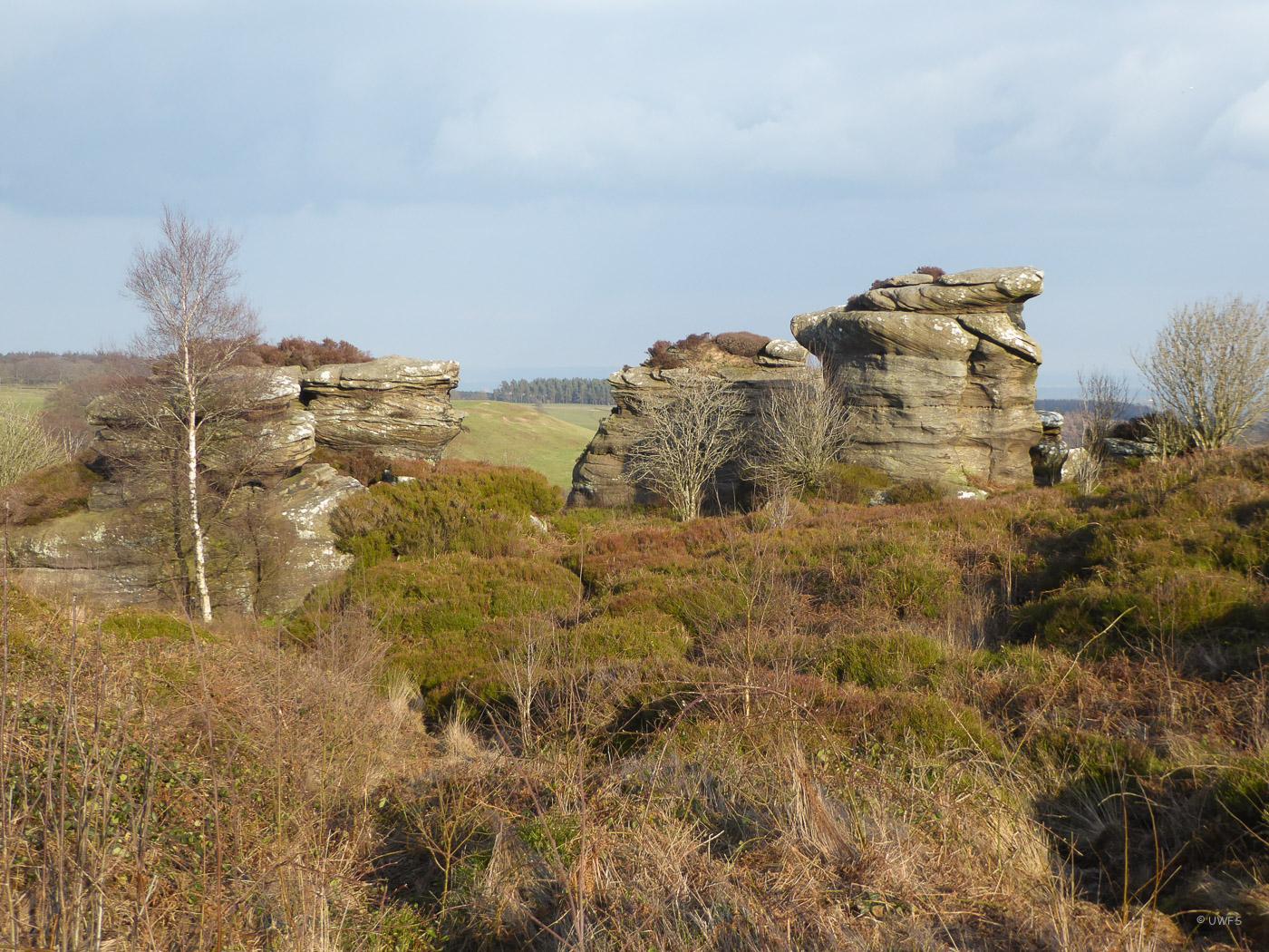 Brimham Rocks