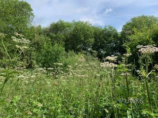 Staveley 3
