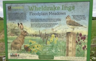 Wheldrake Ings Display Board