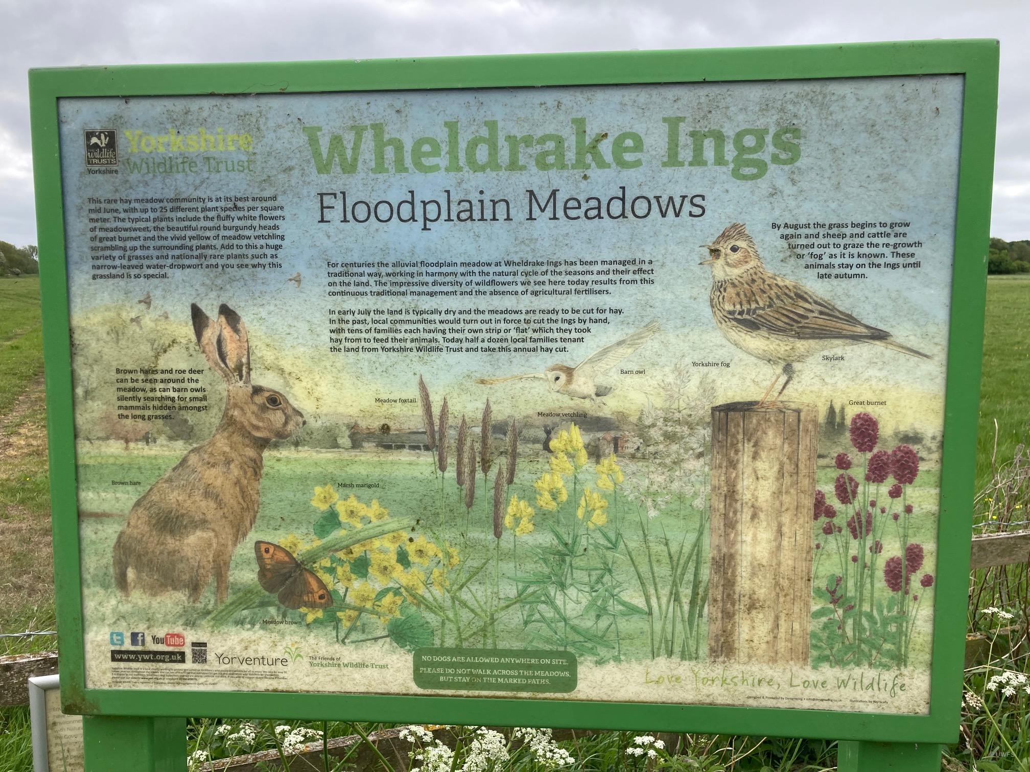 Wheldrake Ings Display Board