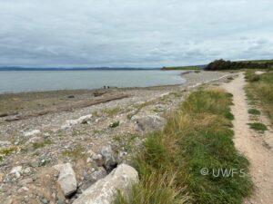 Hest Bank Seashore. Photo K Goodings