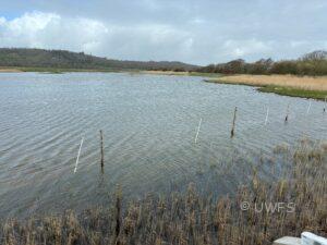 Morecambe Hide pool. Photo K Goodings