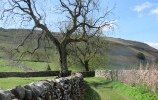 Monks Lane Arncliffe. Phyllida Oates.