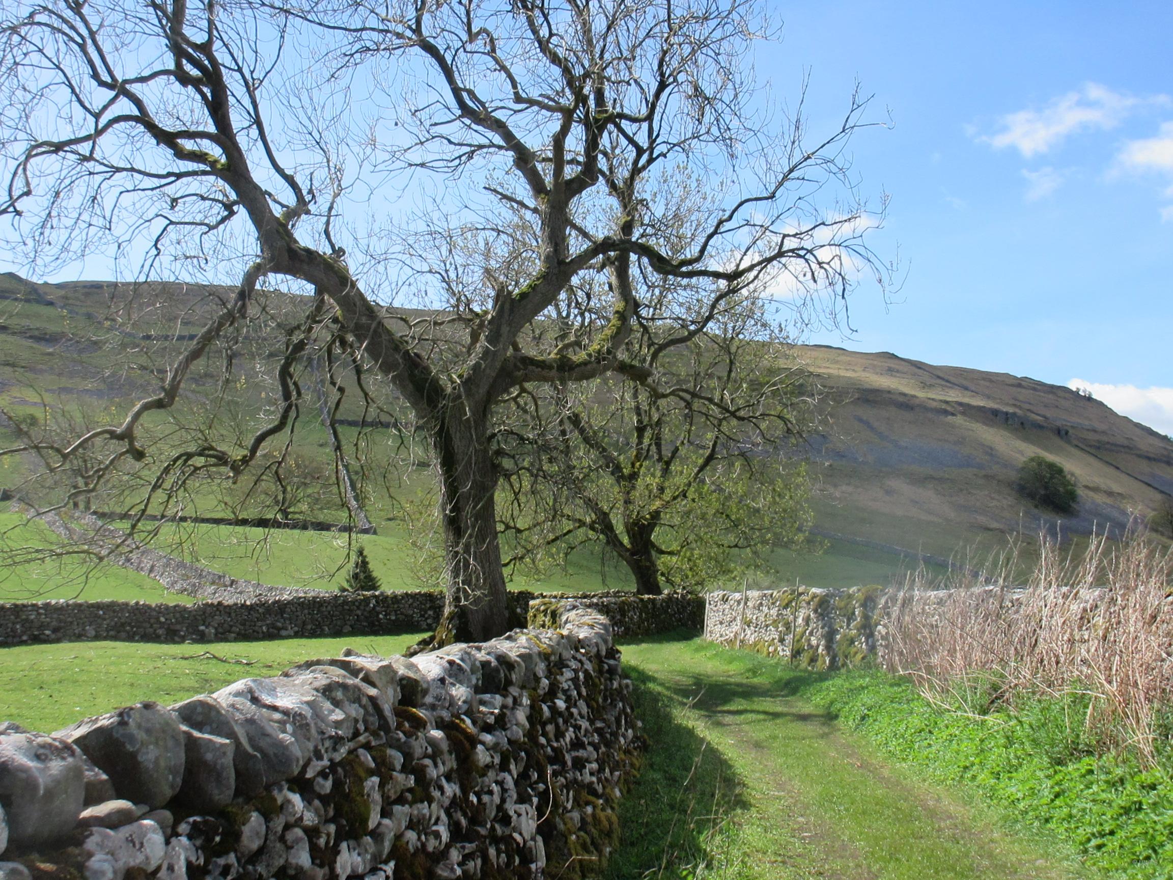 Monks Lane Arncliffe. Phyllida Oates.