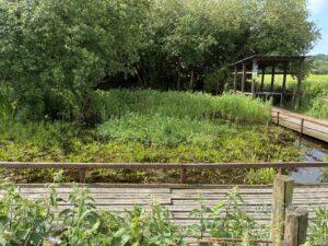 Rodley Nature Reserve. By K Goodings
