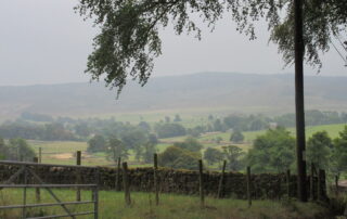 View from Fleets Lane. Photo Phyllida Oates